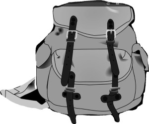 Image: Pixabay ©2015 Karina Pinella