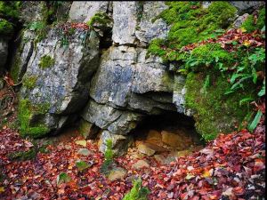 Image: Pixabay ©2016 Karina Pinella